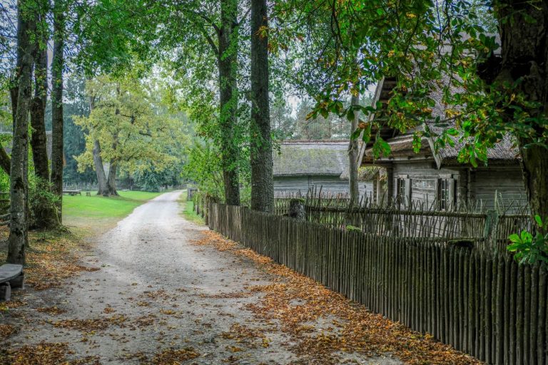 Lauros Prasceviciutes nuotr 3