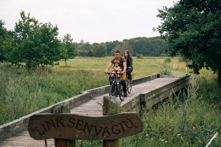 Nevioupsslniopaintinistakas scaled