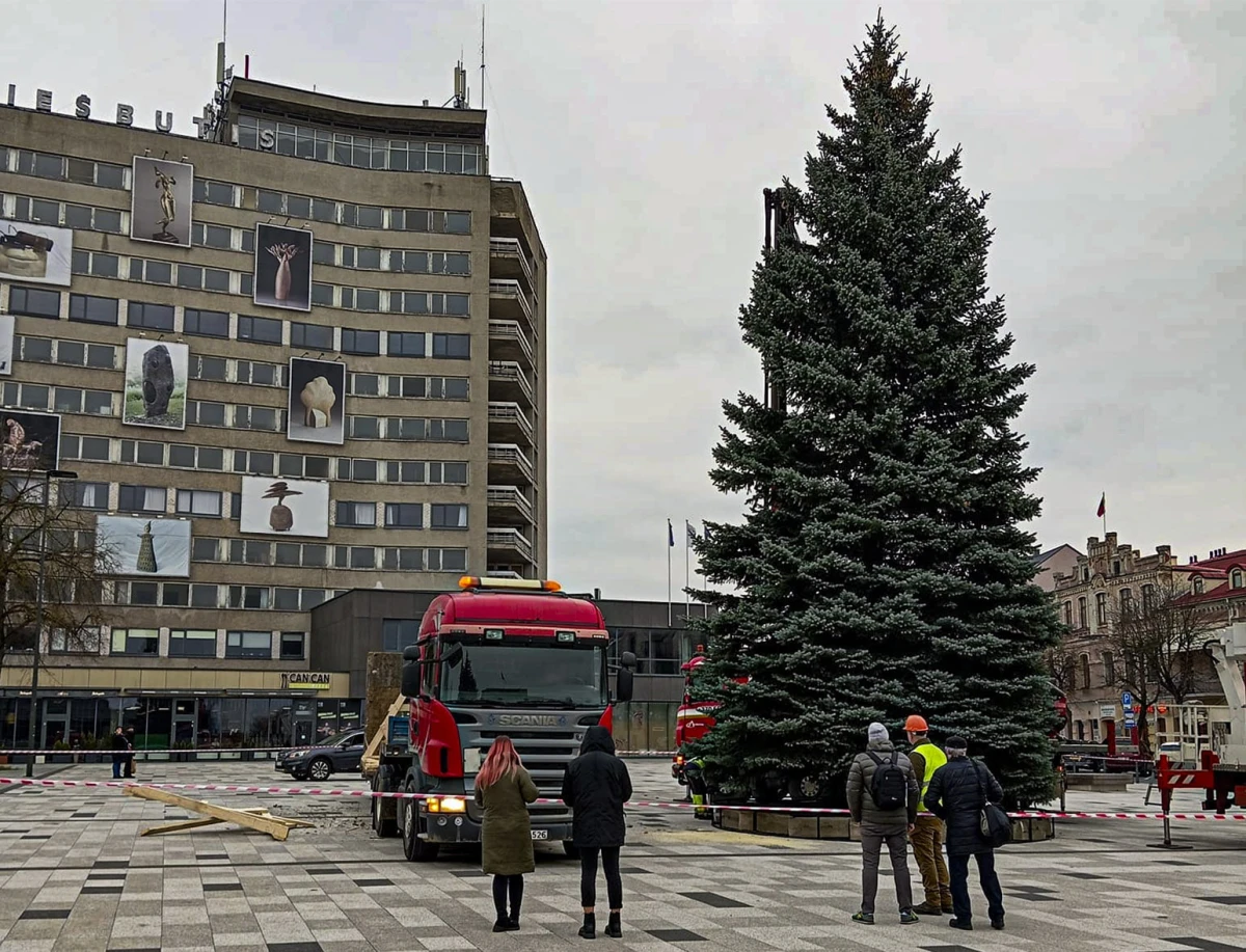 Laisvės aikštę papuošė Kalėdų eglė