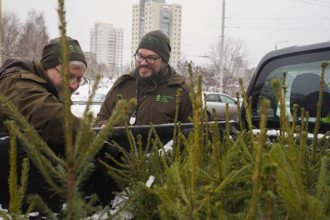 Akcija „Eglutė“ – miškininkai kartu su policijos pareigūnais vairuotojams dovanos kalėdinius medelius