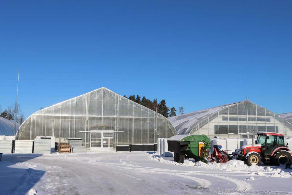 Medelynas žiemą „nemiega“ – modernūs sprendimai padeda išauginti atsparesnius sodmenis