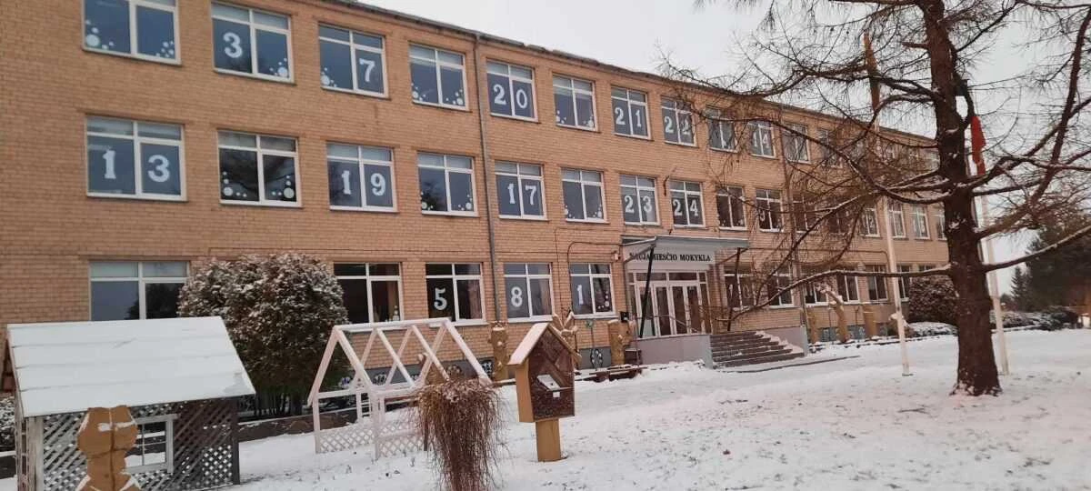 Smarkiai atšalus orams ugdymo proceso tvarką nustato mokyklų vadovai