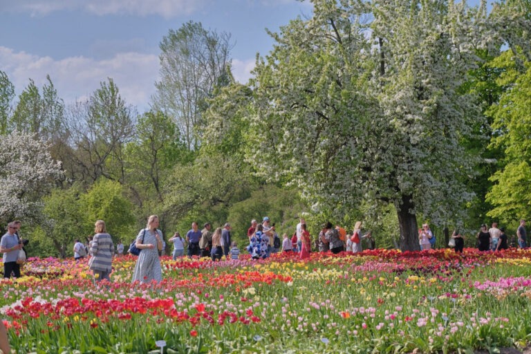 Burbiškio dvaras 23-ąjį kartą švęs tulpių žydėjimą