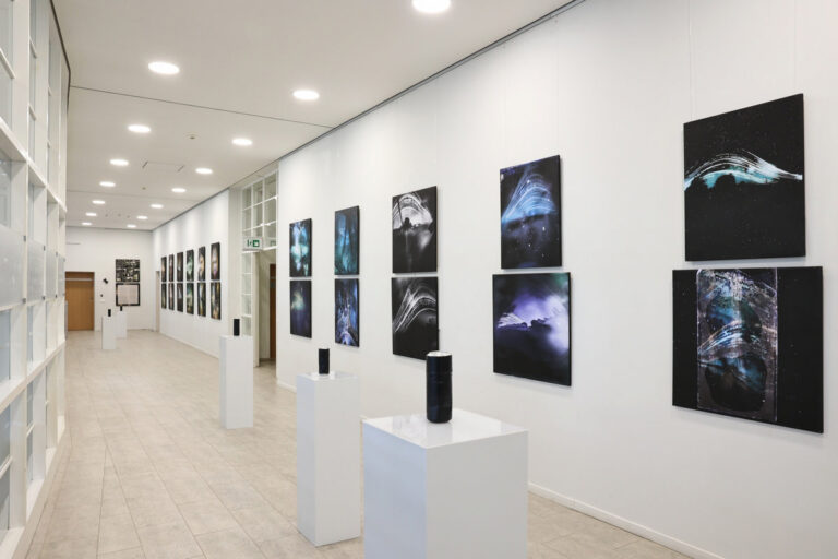 G. Petkevičaitės-Bitės bibliotekoje – fotomenininko Žilvino Kropo fotografijų paroda „Saulėraščių fenomenas“