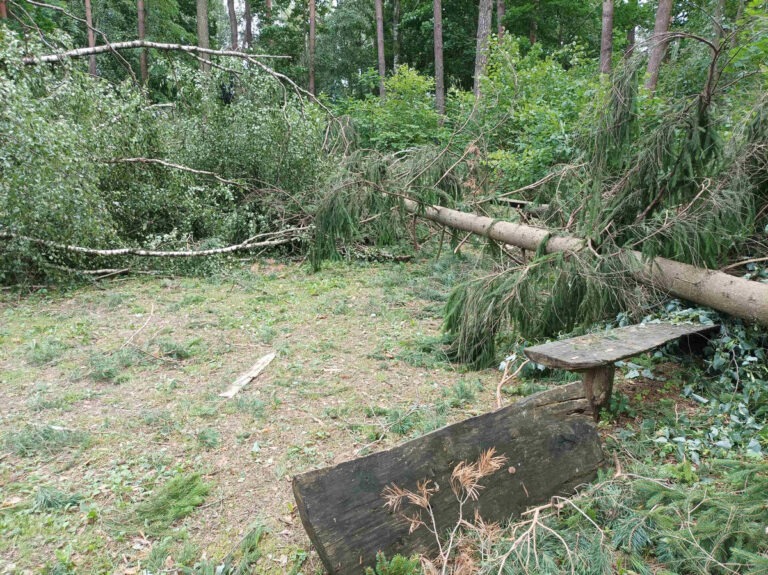 IMG 20240730 130813 2