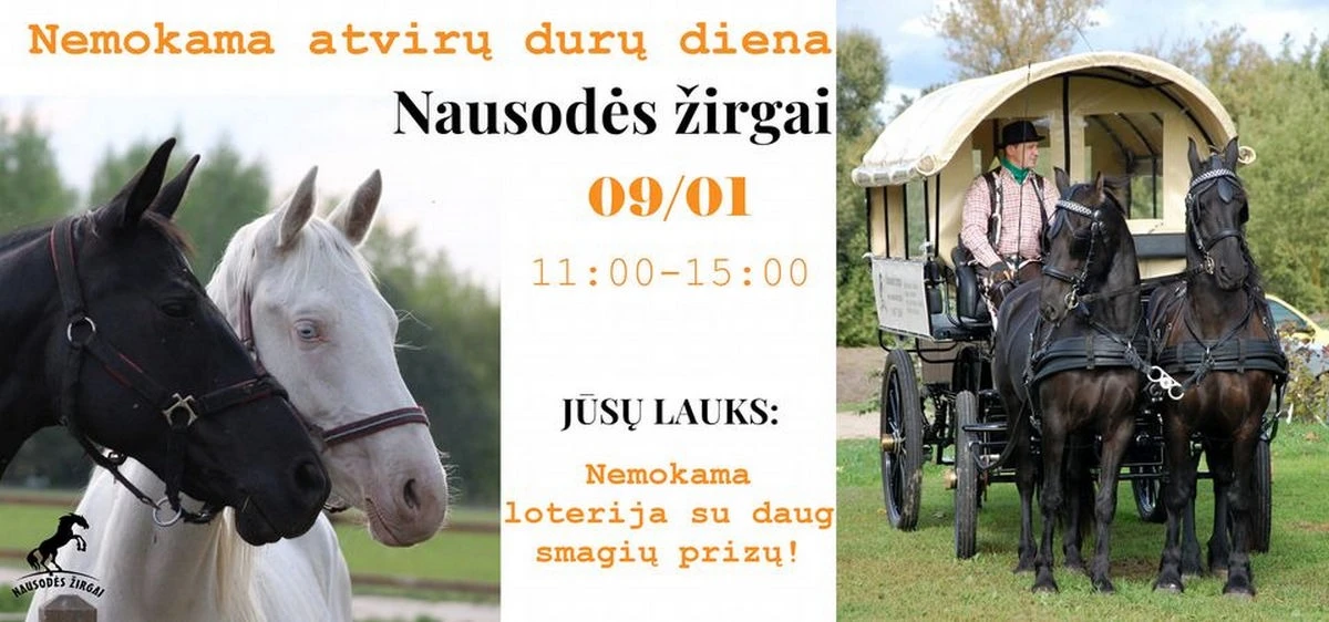 zirgynas 1