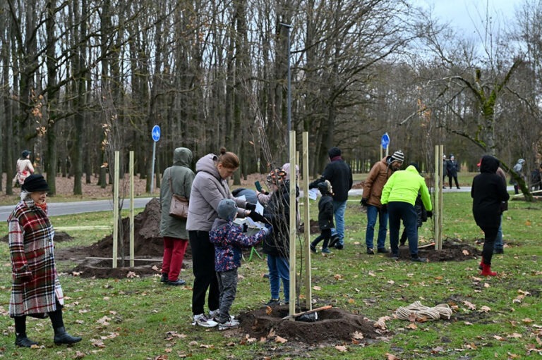 kultūros ir poilsio parke plečiamas signatarų ąžuolynas