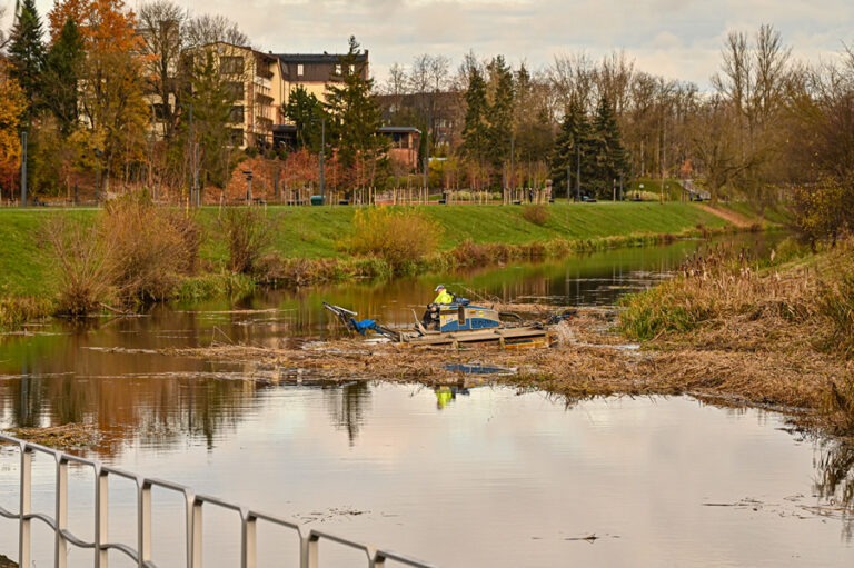 nuo žolių išvalyta panevėžio mieste tekanti nevėžio upės dalis