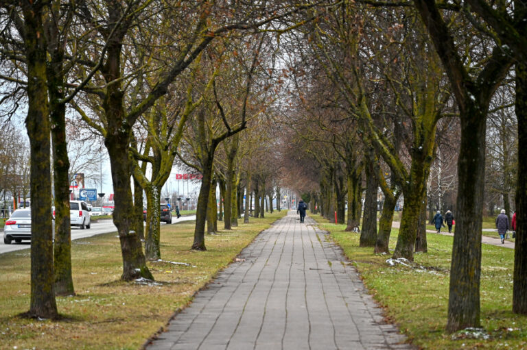 panevėžyje bus modernizuojamas pėsčiųjų ir dviračių takas klaipėdos gatvėje