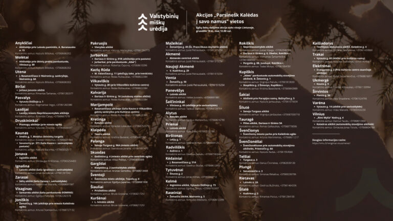 automatiškai išsaugotas juodraštis