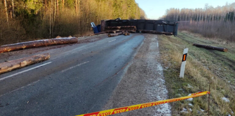 apvirto miškovežis