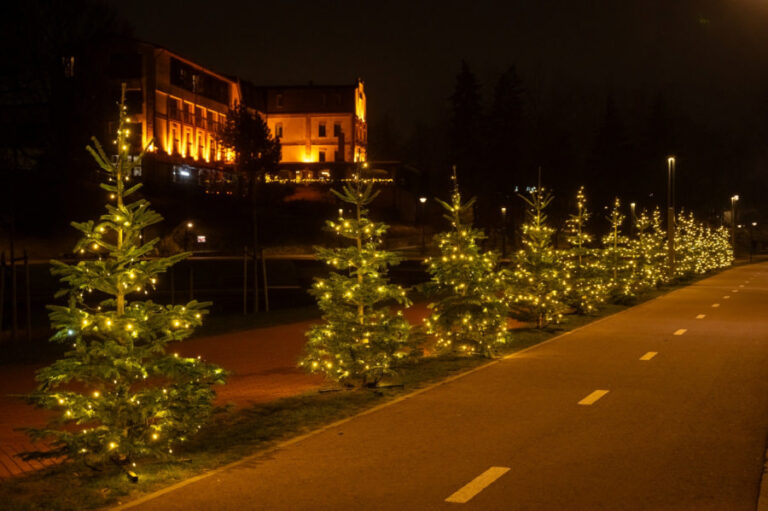 miestą papuoš šviečiančių eglučių kompozicijos