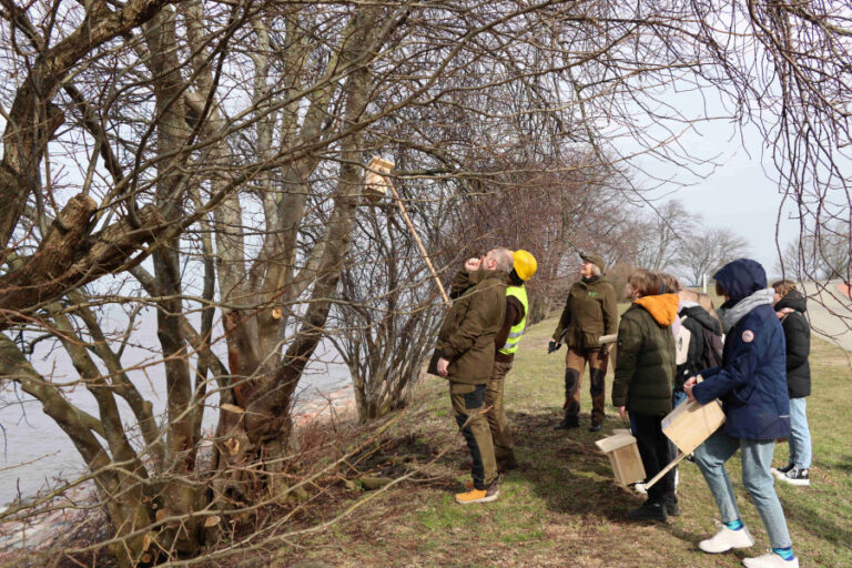 „Paukščiai grįžta namo“ – miškininkai kviečia visoje Lietuvoje iškelti daugiau nei 8 tūkstančius inkilų!