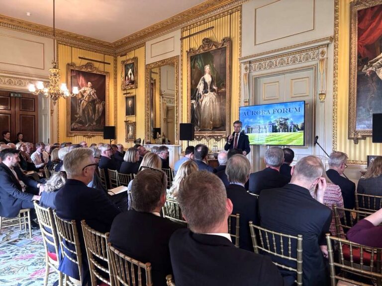 K. Budrys: tvirta Europos laikysena yra gyvybiškai svarbi dabar, kai sprendžiasi mūsų saugumo ateitis