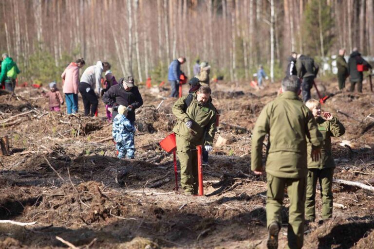 Nacionalinis miškasodis 2025 – visoje Lietuvoje buvo sodinami laisve ošiantys miškai