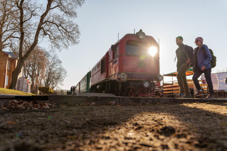 Siaurukas Anykščiuose per dieną pervežė 2300 „Trenkturo“ žygeivių