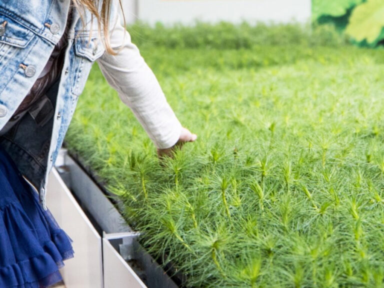 Pirmoji šalyje miškininkystės olimpiada „Mes miškui – miškas visiems“: finaliniame etape varžysis daugiau nei 100 moksleivių