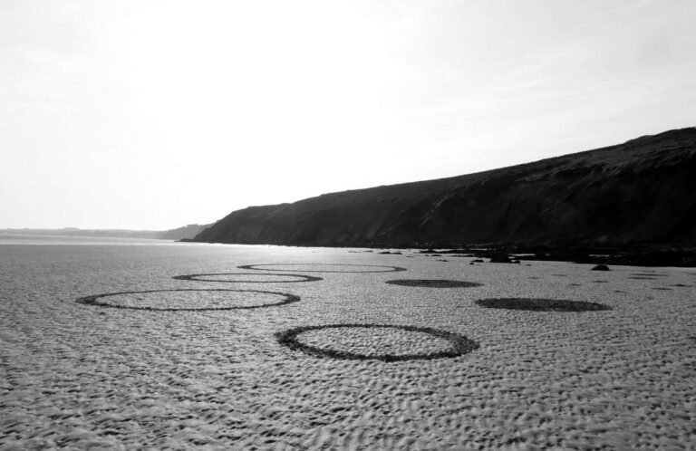 Vokietijos menininkės Janos Wilsky paroda „Sukimasis ratu“