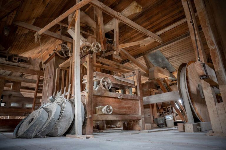 Dar daugiau patirčių Panevėžio rajone – sugrįžta šeimadieniai