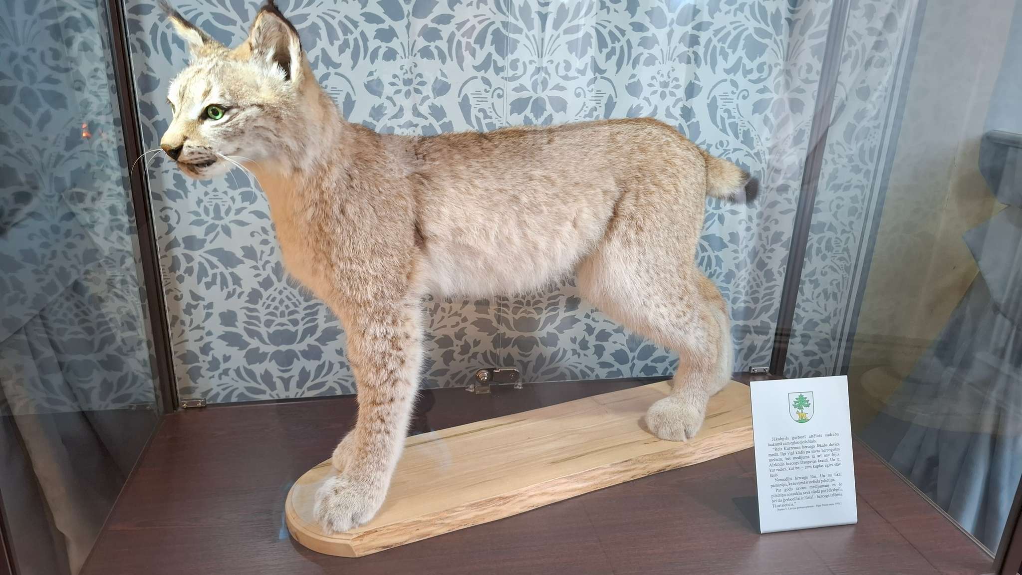 Savaitgalis kaime latviškai. Kelionė į Sėlos kraštą