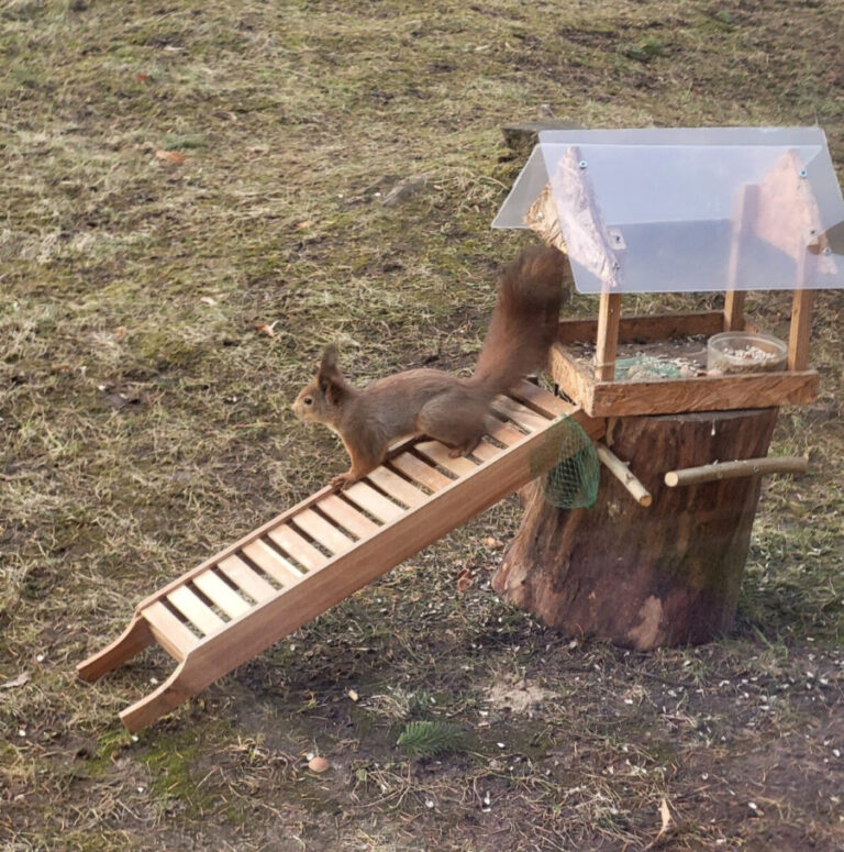 „Tvari mokykla 2030“: į Panevėžio rajoną atkeliauja dvi II pakopos „Tvarumo bruknės“