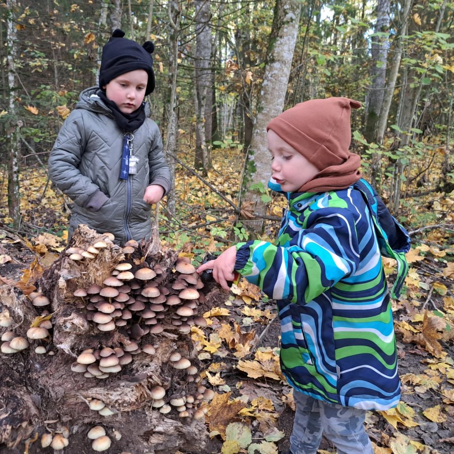 Miškininkystė – iš kartos į kartą: pokalbis su tėčiu ir dukra-paninfo.lt Miškininkystė – iš kartos į kartą: pokalbis su tėčiu ir dukra