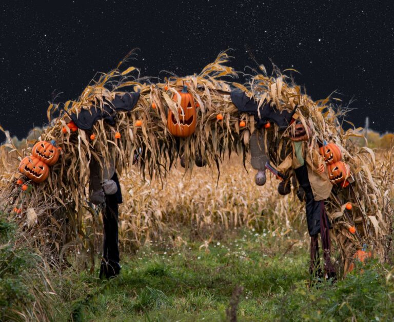 Bistrampolio šviesų festivalis „Vėlių naktys“: rudens paslaptys, šviesa tamsoje ir šiurpą keliantys potyriai