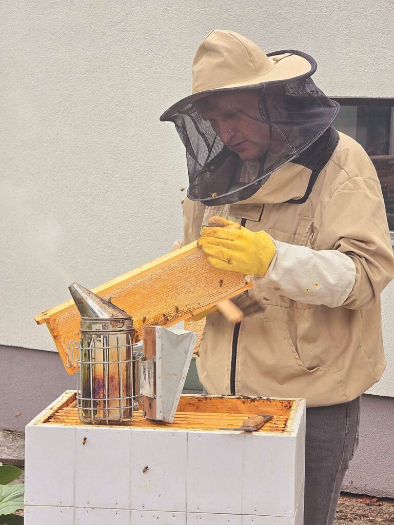 Bitės universitete: nuo modernių avilių iki išskirtinių bitininkų kostiumų