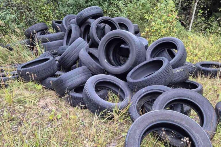 Šokiruojantis miškininkų radinys: prasidėjus padangų keitimo sezonui –  5 tonos išmestų padangų