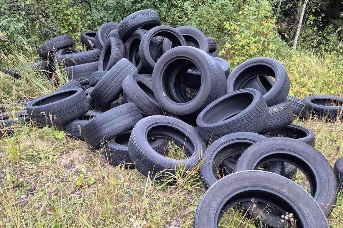 Šokiruojantis miškininkų radinys: prasidėjus padangų keitimo sezonui –  5 tonos išmestų padangų