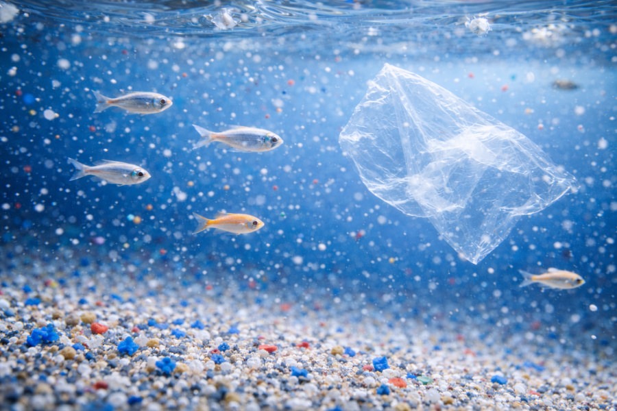 Pradžia - Paninfo.lt