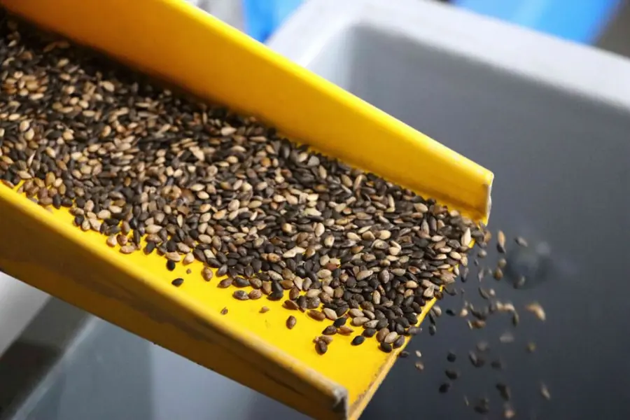 Pradžia - Paninfo.lt