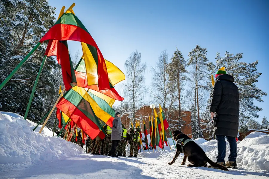 Pradžia - Paninfo.lt