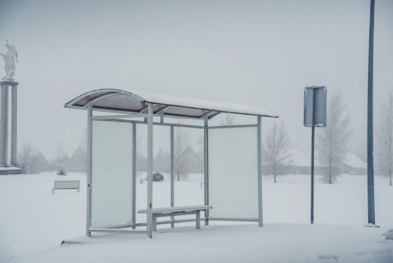 Panevėžio rajone – viešojo transporto revoliucija: popierinius bilietus keis išmaniosios technologijos - Paninfo.lt