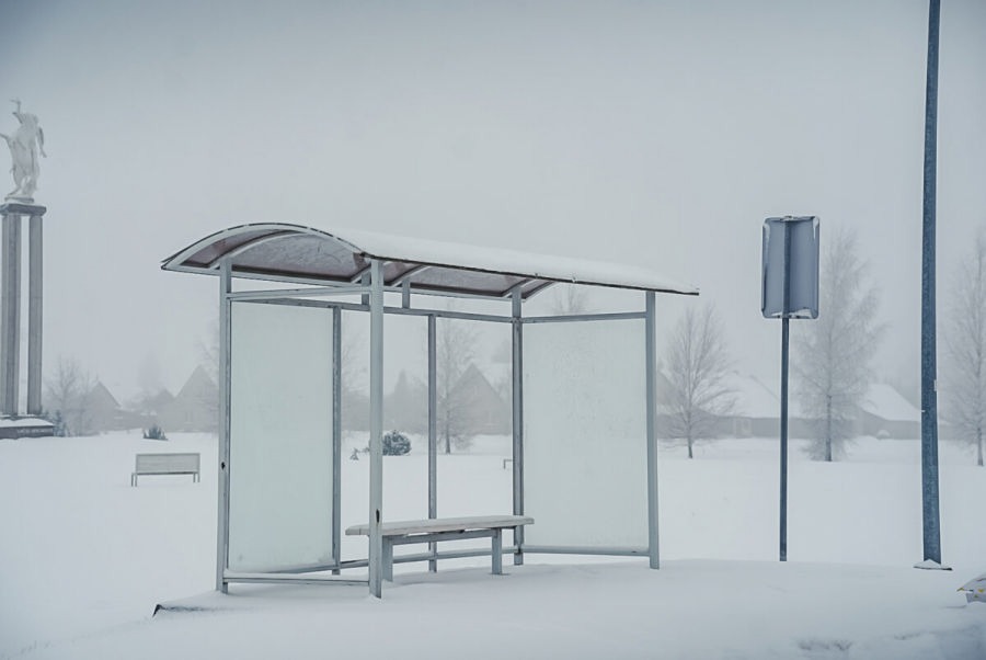 Panevėžio rajone – viešojo transporto revoliucija: popierinius bilietus keis išmaniosios technologijos - Paninfo.lt