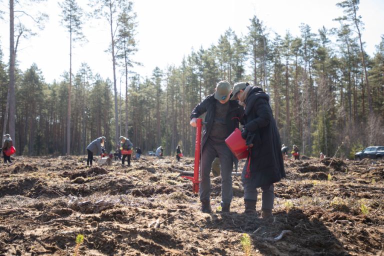 Nacionalinis miškasodis Prezidento Valdo Adamkaus 100-mečiui: kviečiama sodinti ąžuolus visoje Lietuvoje 2 5S7A4313