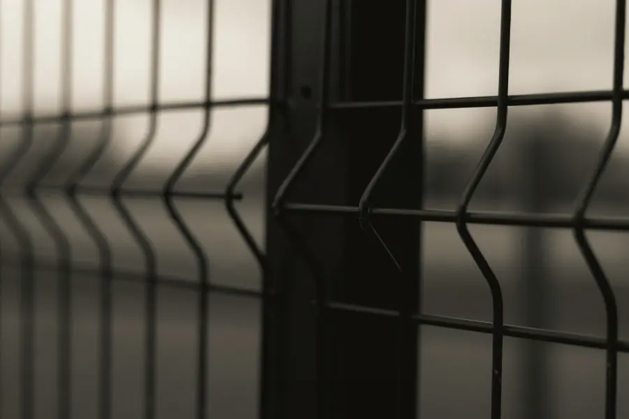 Pradžia - Paninfo.lt