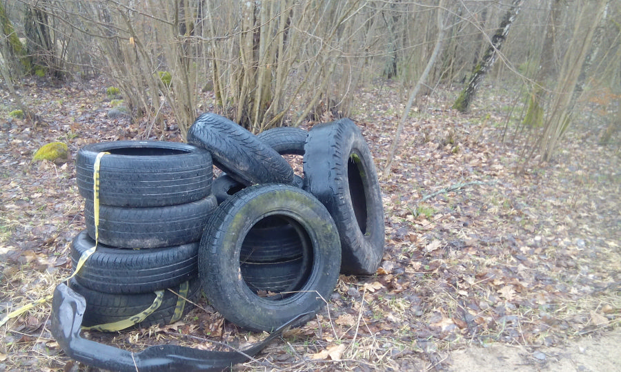 Miške paliktos padangos