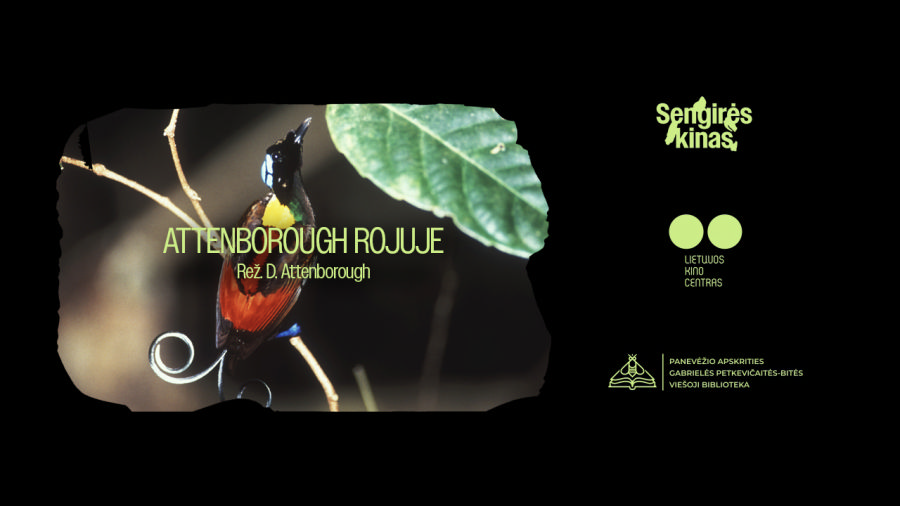 „Sengirės kine“ – įspūdingiausi pasaulio paukščiai