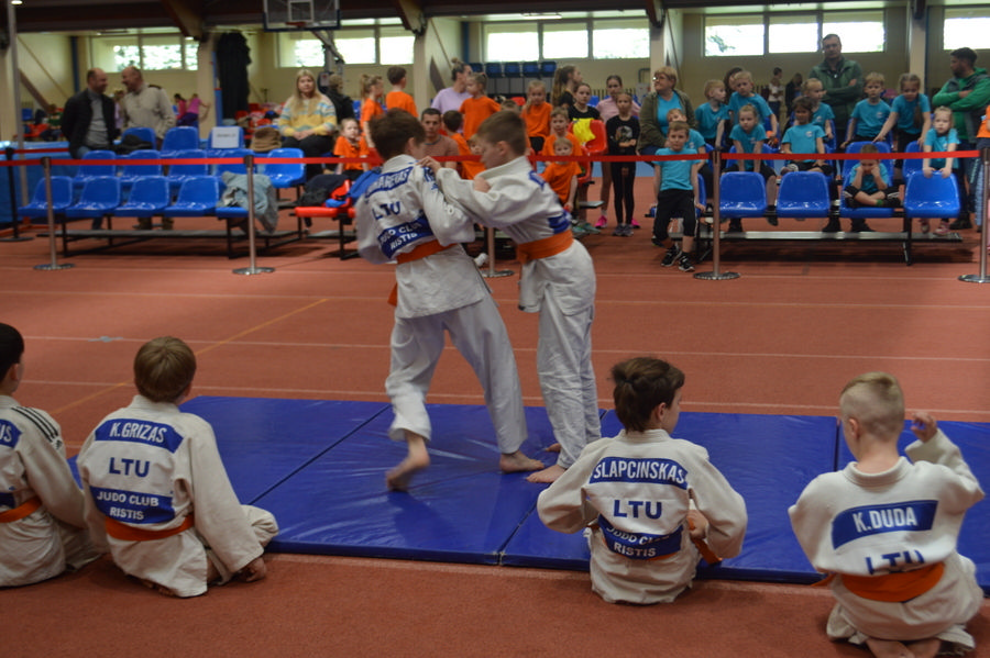 Darželinukai išbandė jėgas Panevėžio sporto centro organizuojamose varžybose