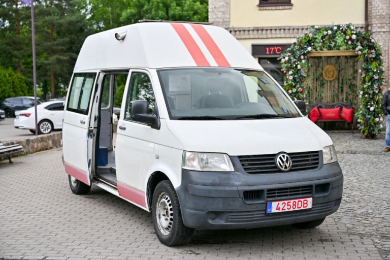 Panevėžys perdavė krovininį automobilį miestui partneriui Vinyciai