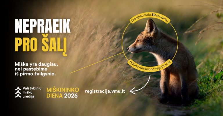 „Nepraeik pro šalį“: Valstybinių miškų urėdija kviečia Miškininko dieną švęsti gamtoje