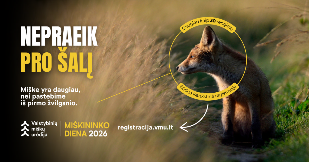 „Nepraeik pro šalį“: Valstybinių miškų urėdija kviečia Miškininko dieną švęsti gamtoje
