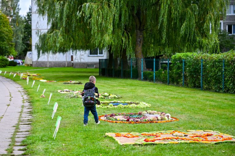 Kniaudiškių gatvėje – pleneras „Gamtos spalvos“ Kniaudiškių gatvėje – pleneras „Gamtos spalvos“
