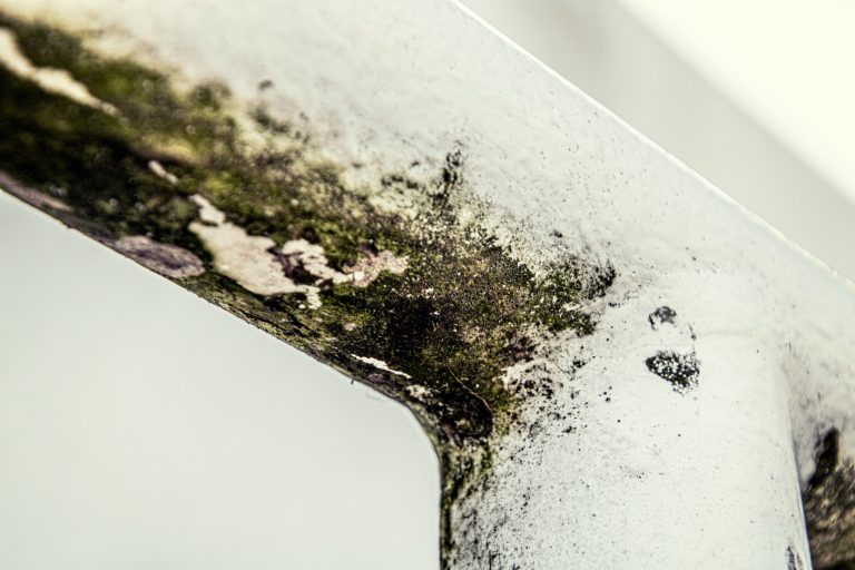 Atvėsus orams namuose grįžta pelėsis: kada nebeužtenka praverti lango ar nuvalyti dėmės? Atvėsus orams namuose grįžta pelėsis: kada nebeužtenka praverti lango ar nuvalyti dėmės?